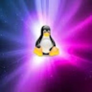 Meet your Posher, Cassy